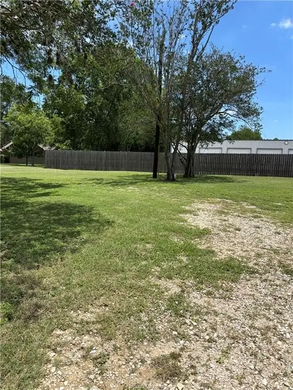 Picture 8