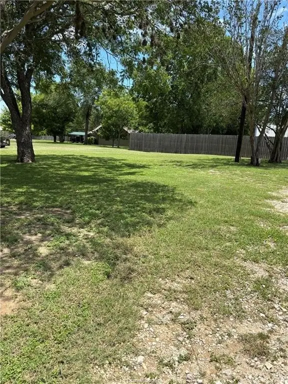 Picture 6