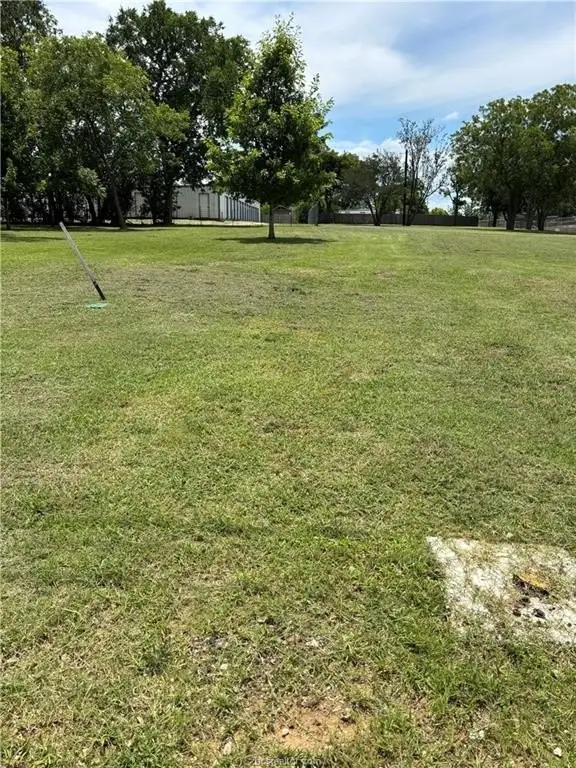 Picture 4