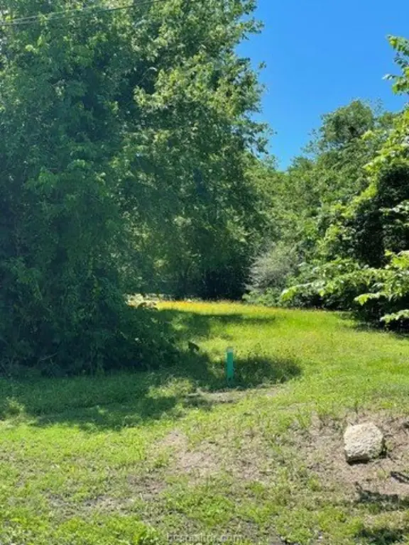 Picture 2