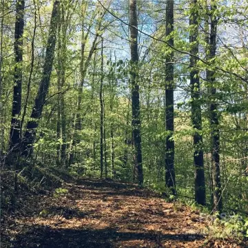 Mars Hill Land For Sale