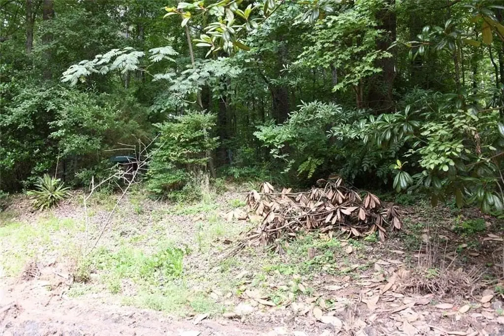 Picture 12
