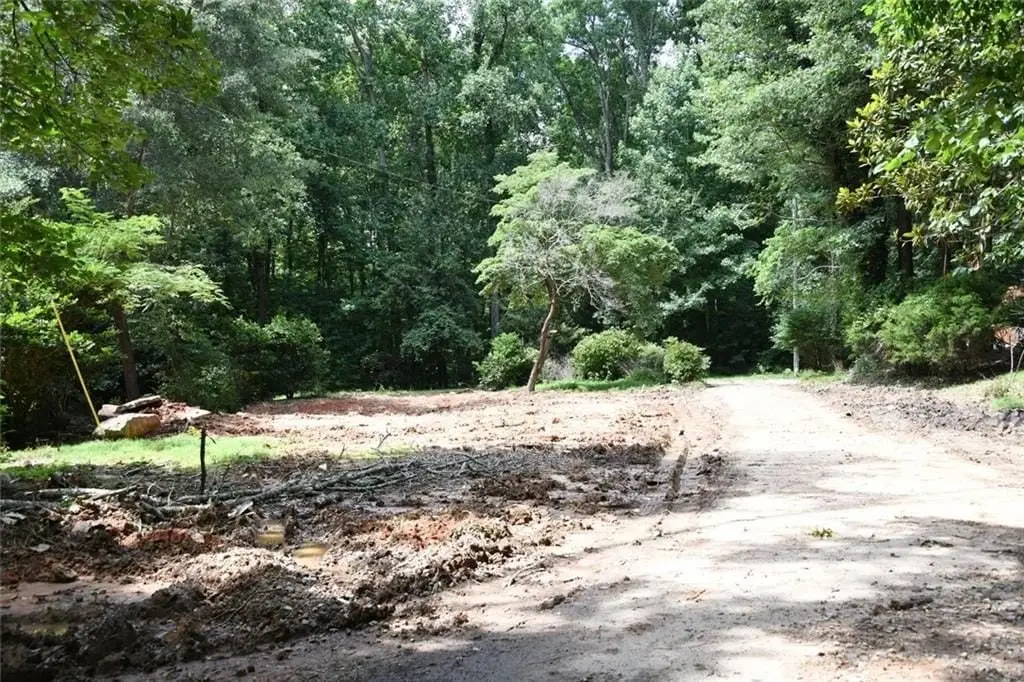 Picture 4