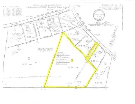 Wooded Land Parcel