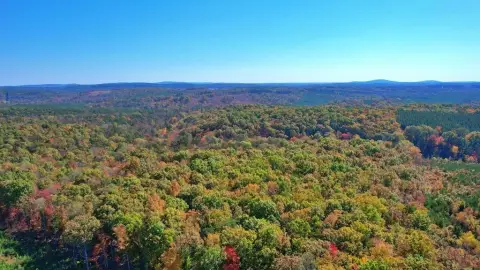 Recreation Land with Creek