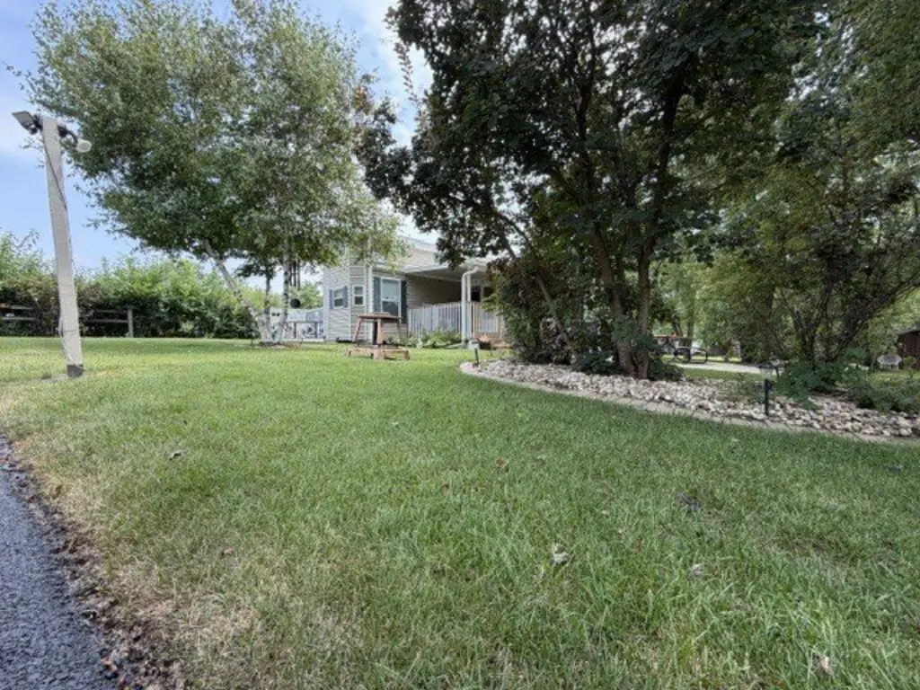 Picture 6