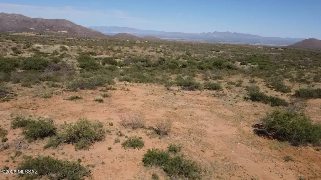 Picture 14