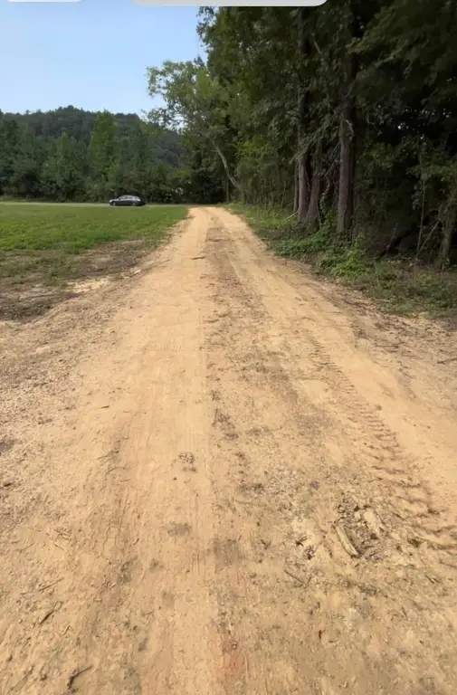 Picture 3