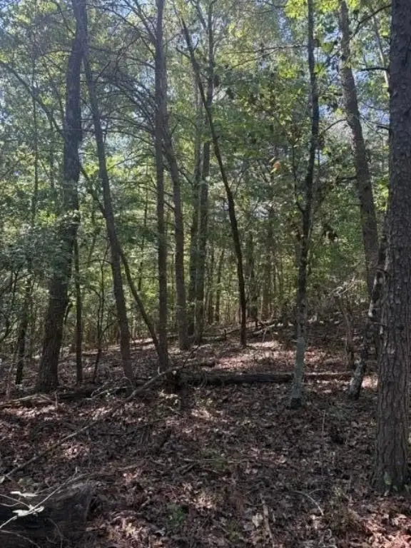 Picture 3