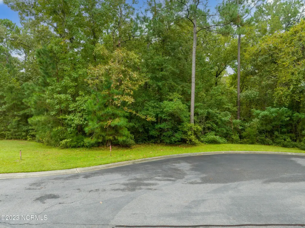 Picture 12