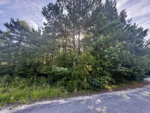 Residential Cul-de-Sac Lot