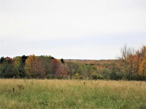 Wooded Land Parcel Near Frederic