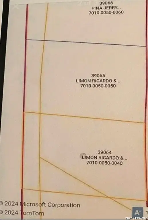 Picture 5
