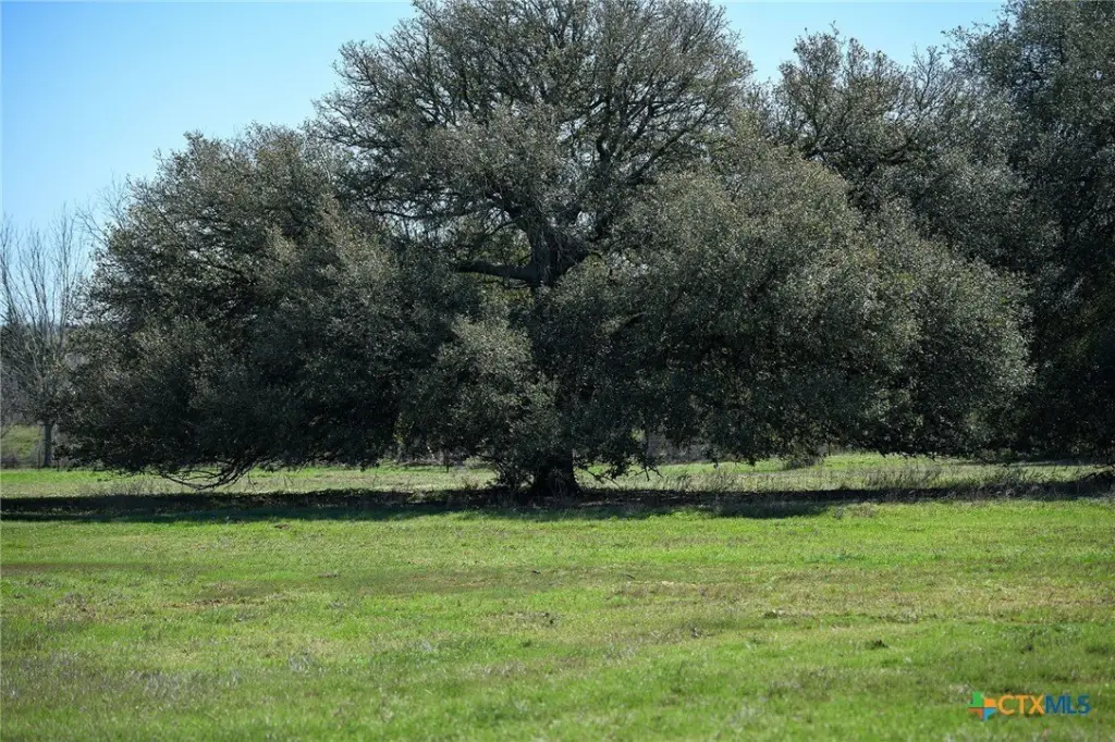 Picture 9