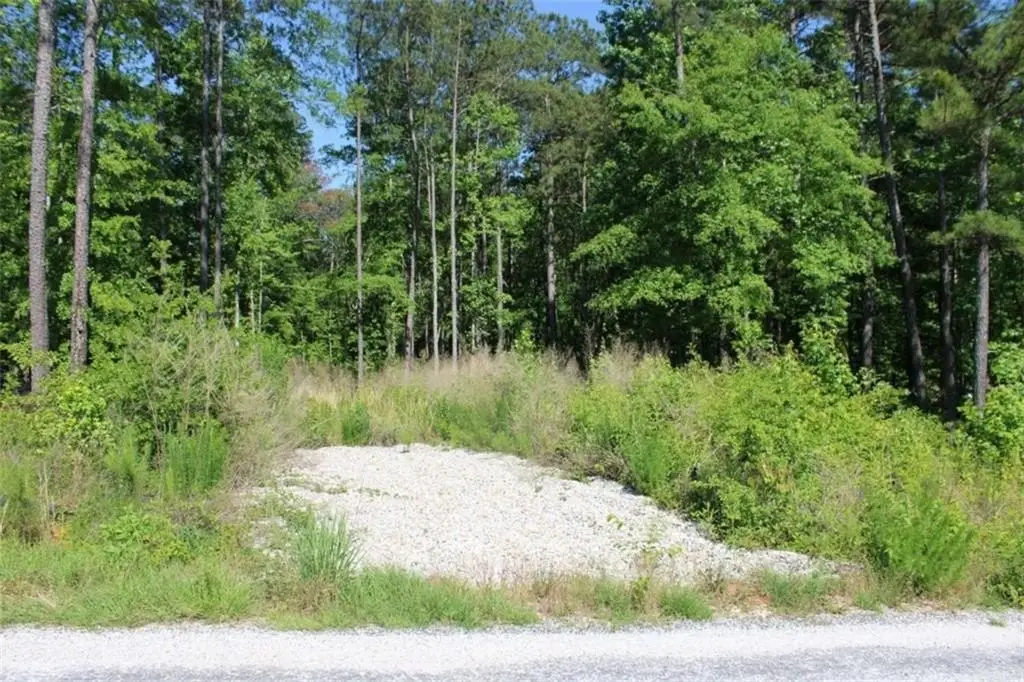 Picture 4