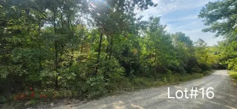 Land in Tanglewood Lake Community