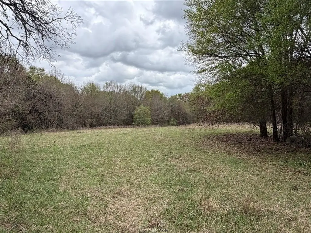 Picture 16