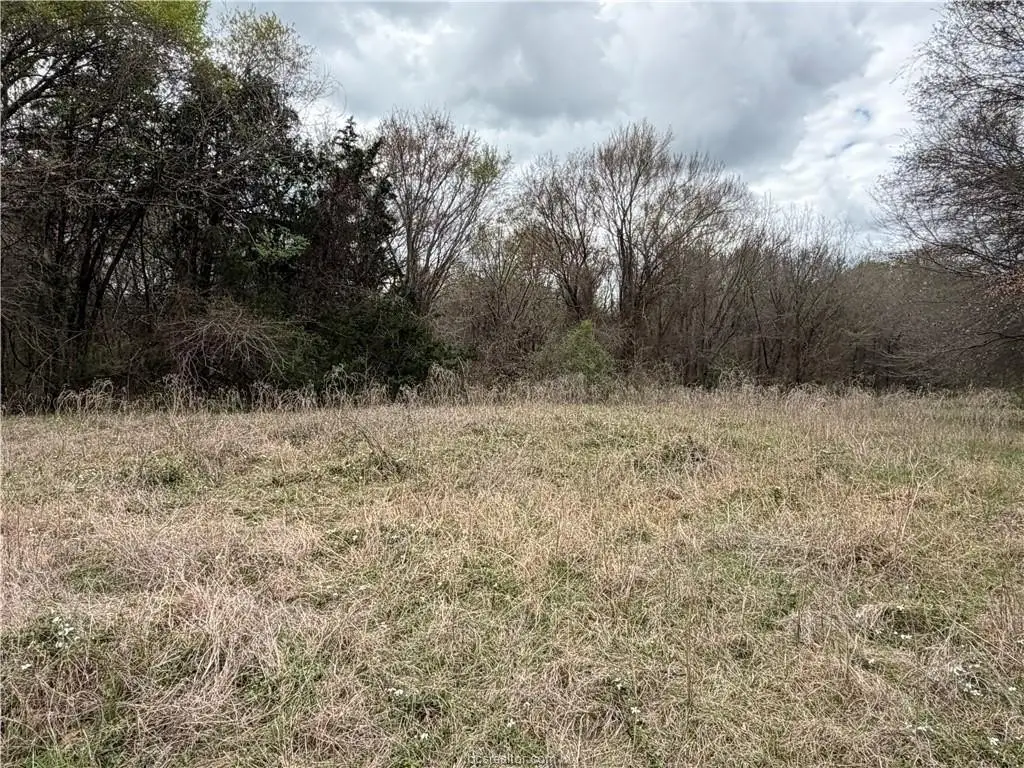 Picture 13