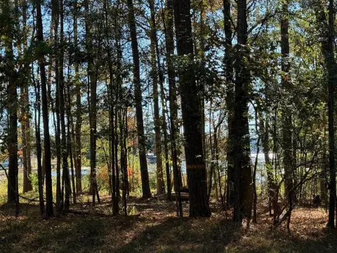 Lake View Residential Land