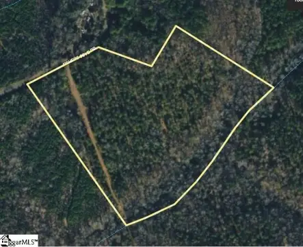 Wooded Land Tract
