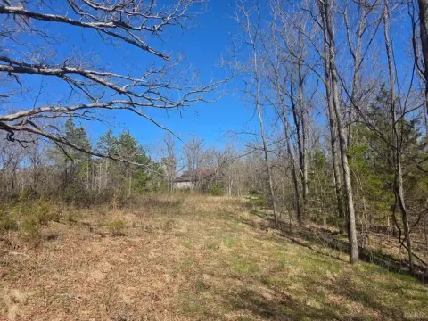 Agricultural Land with Road Frontage