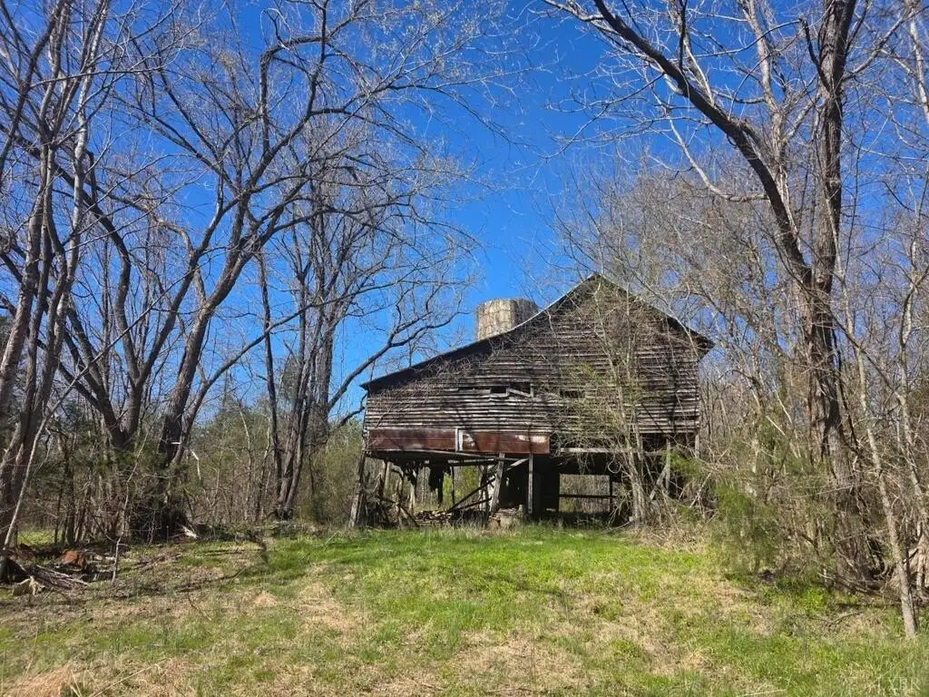 Picture 15