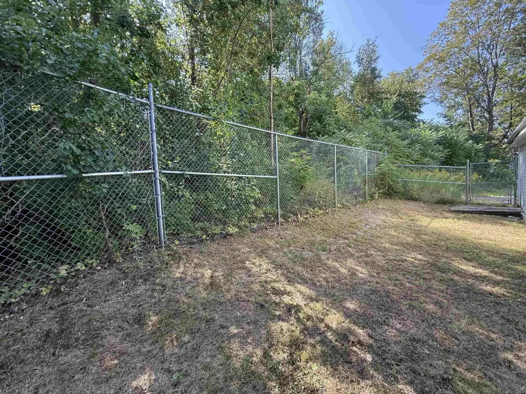 Picture 5