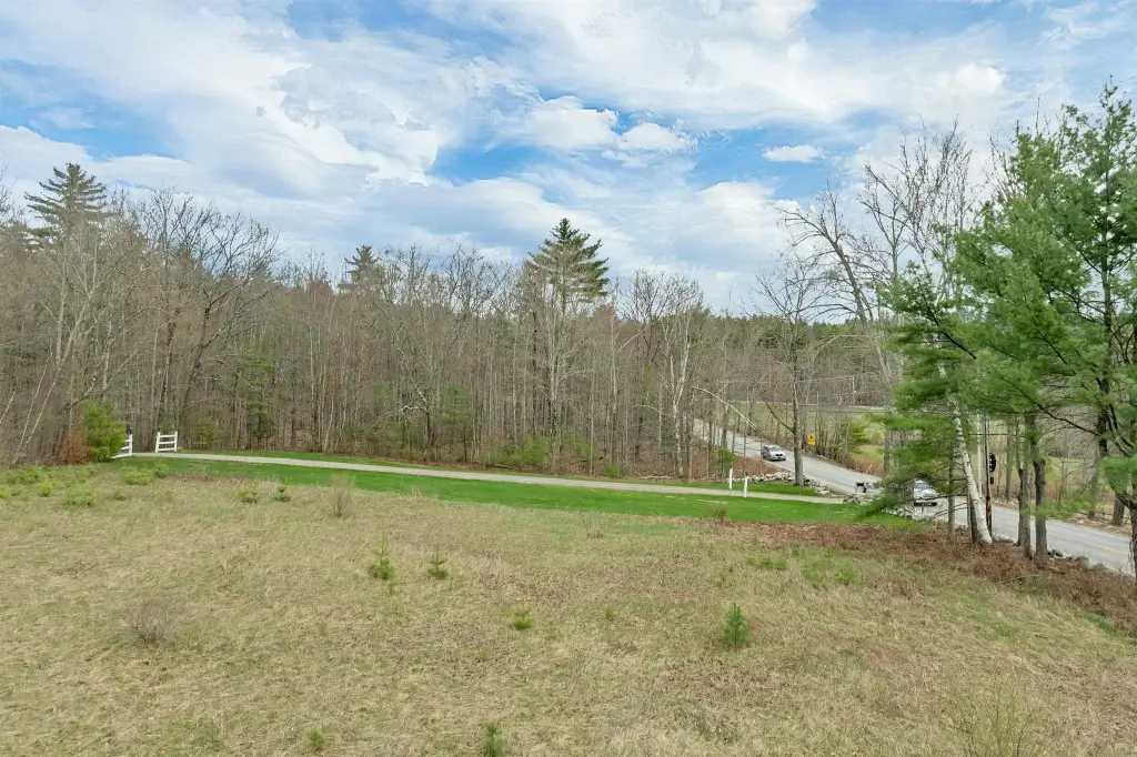 Picture 19
