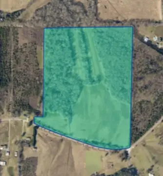 Expansive Acreage in Moulton, Alabama