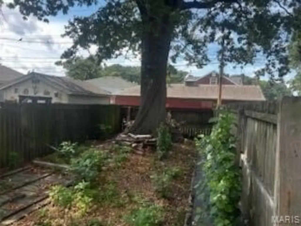 Picture 5
