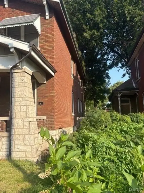 Picture 3