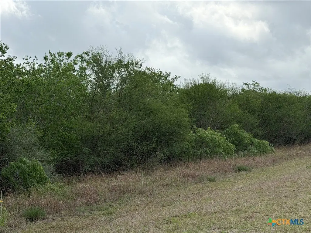 Picture 2