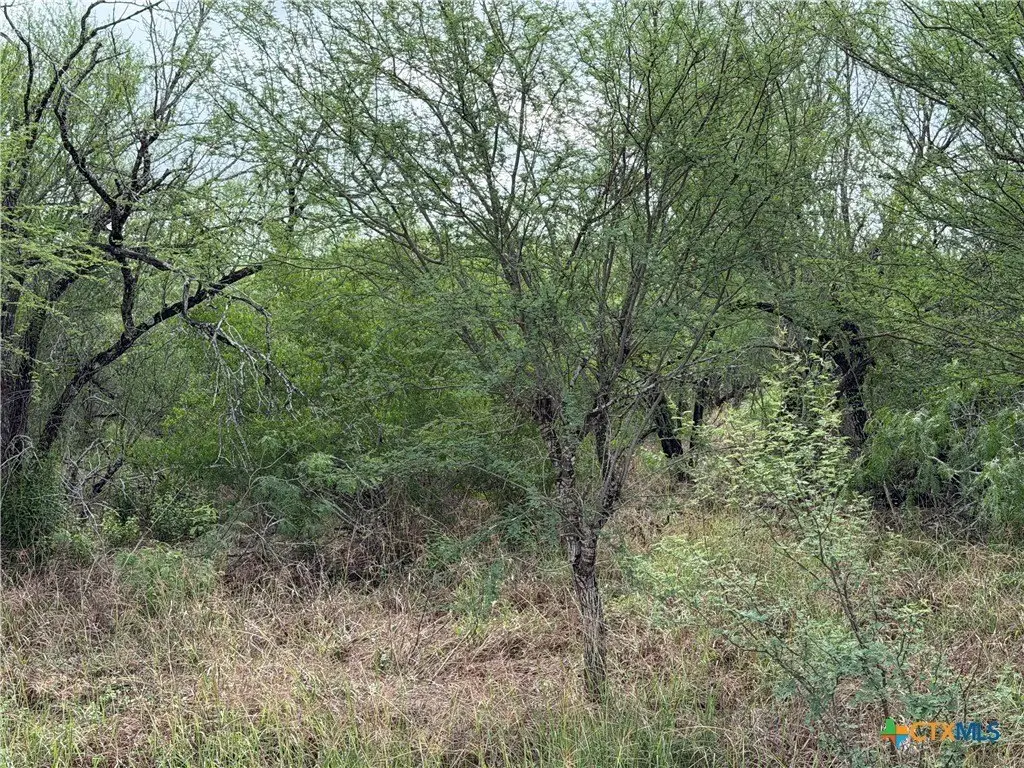 Picture 6