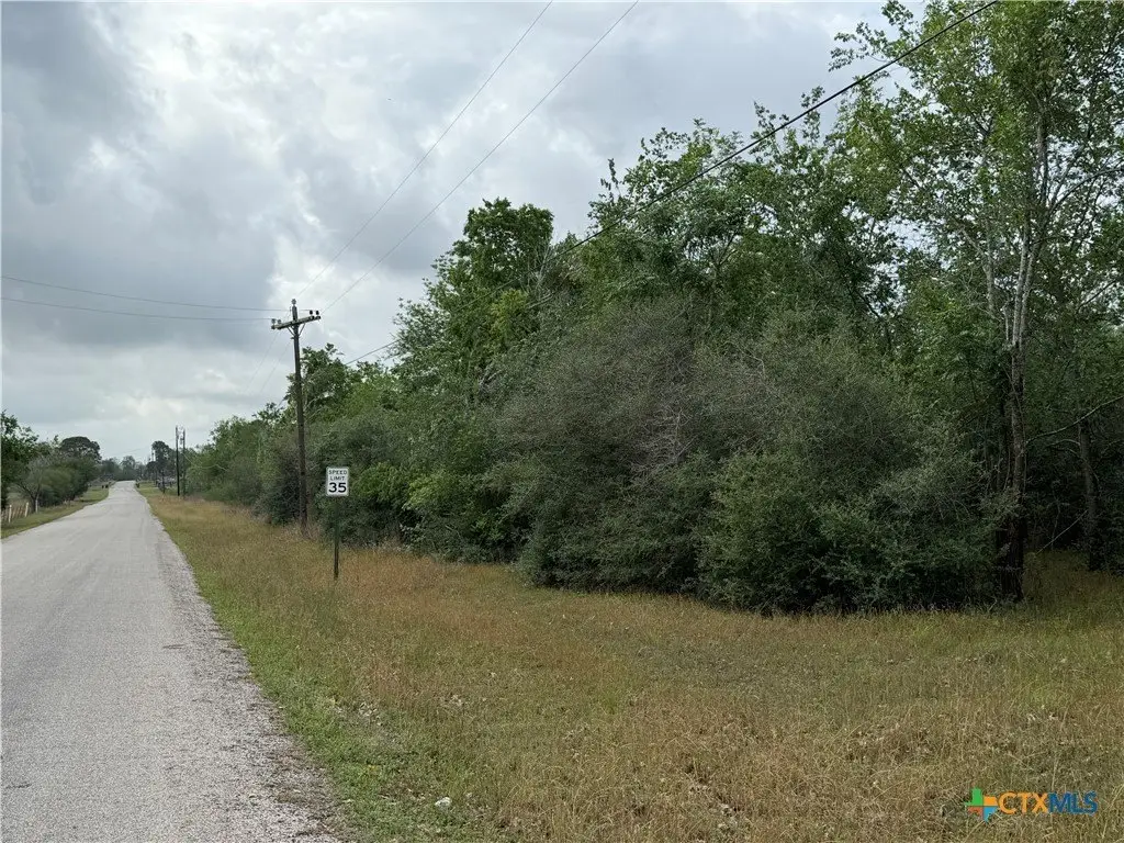 Picture 15
