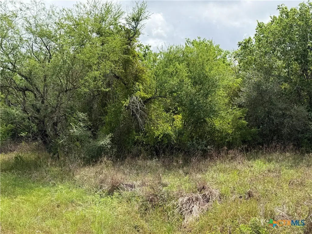 Picture 8