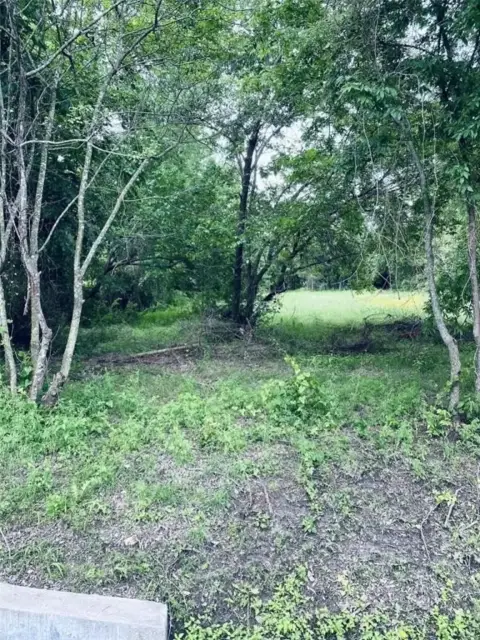 DeSoto Land Opportunity