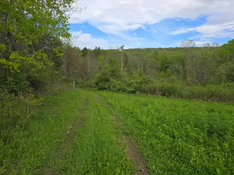 Norwich Vacant Land with Stream