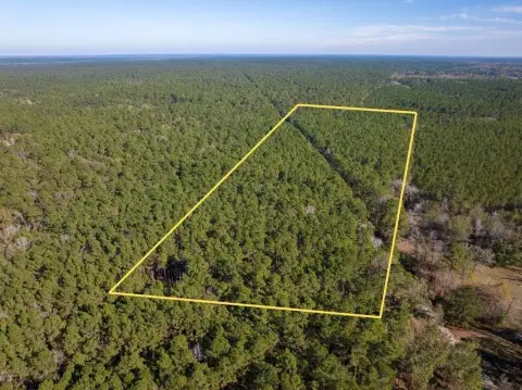 Apple Springs Land For Sale