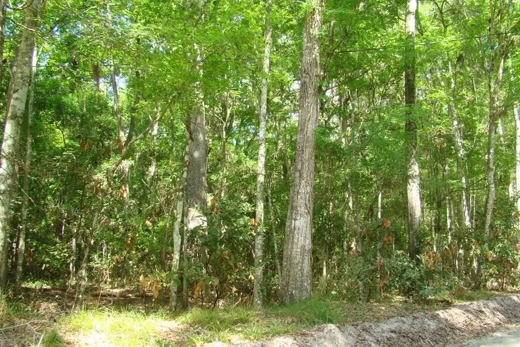 Picture 17