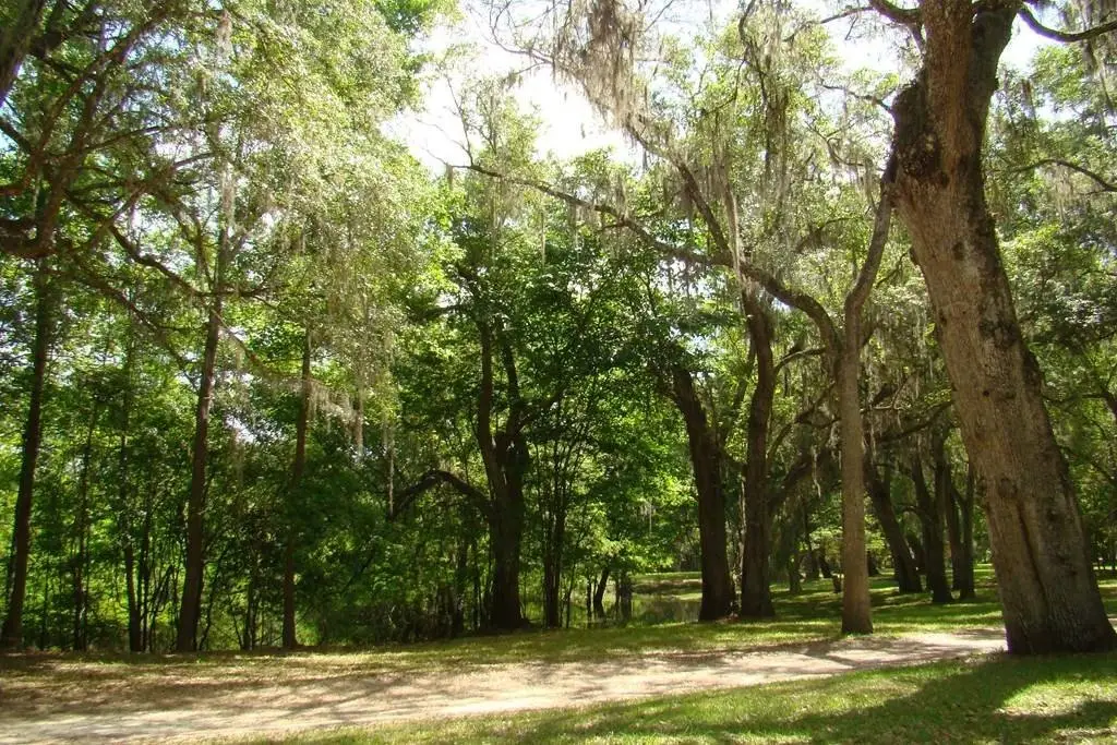 Picture 20