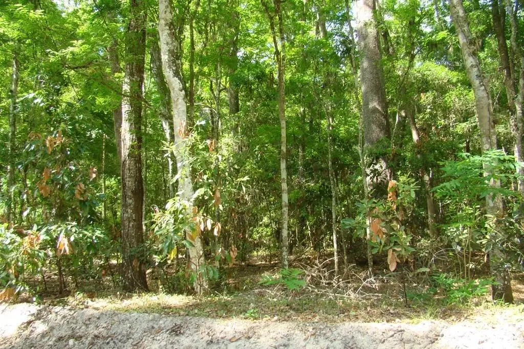 Picture 16