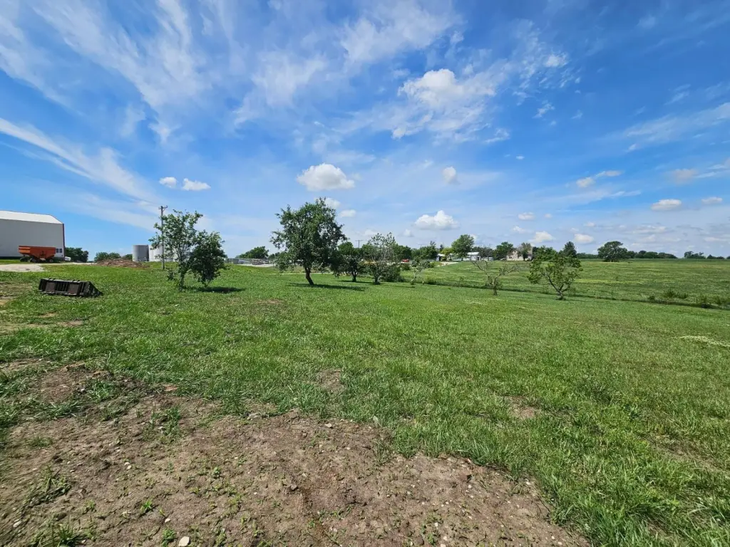 Picture 46