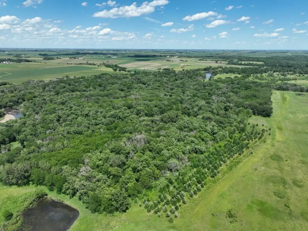 Picture 22