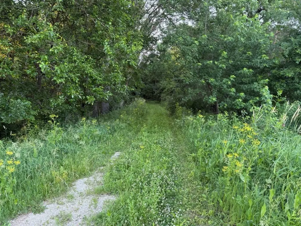 Picture 39