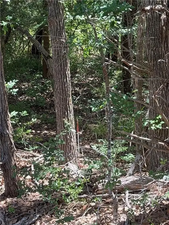 Picture 9