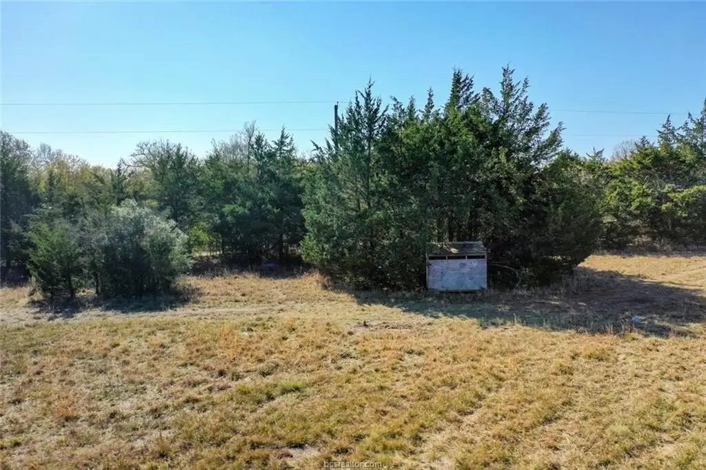 Picture 10