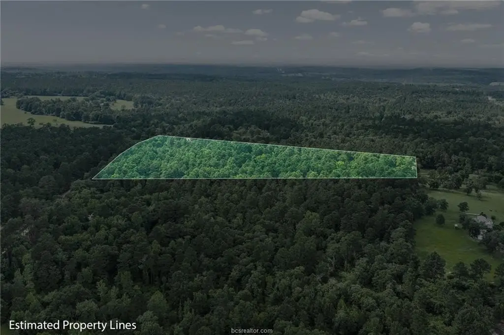Picture 33