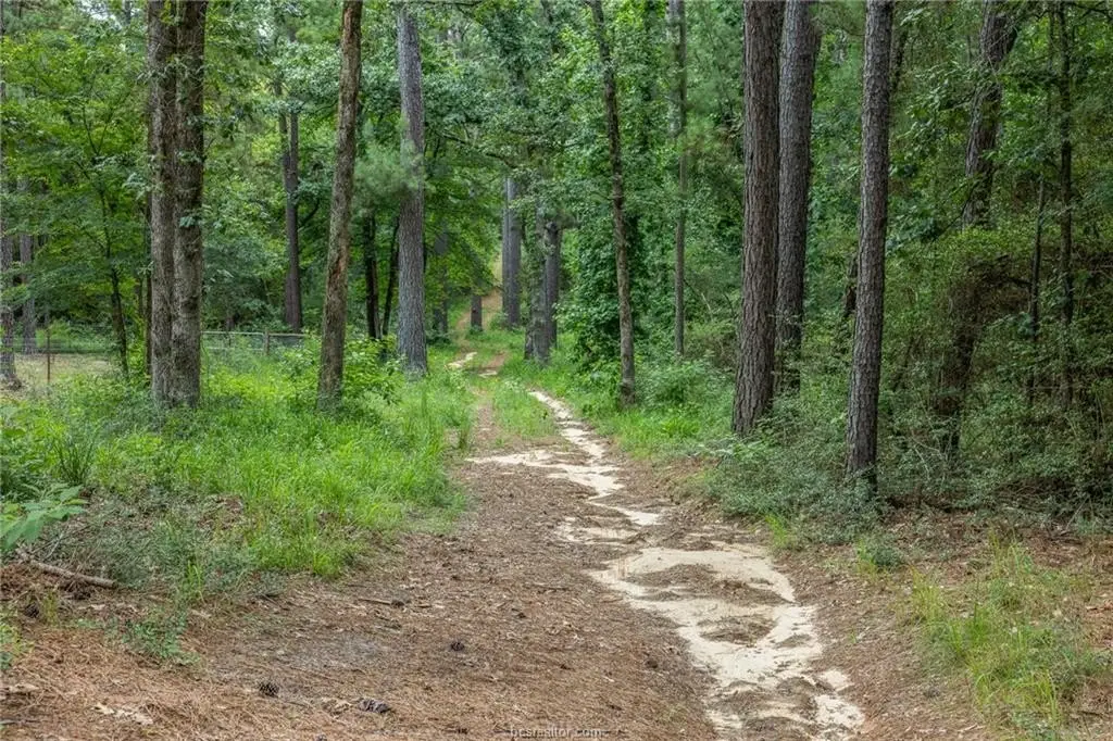 Picture 25
