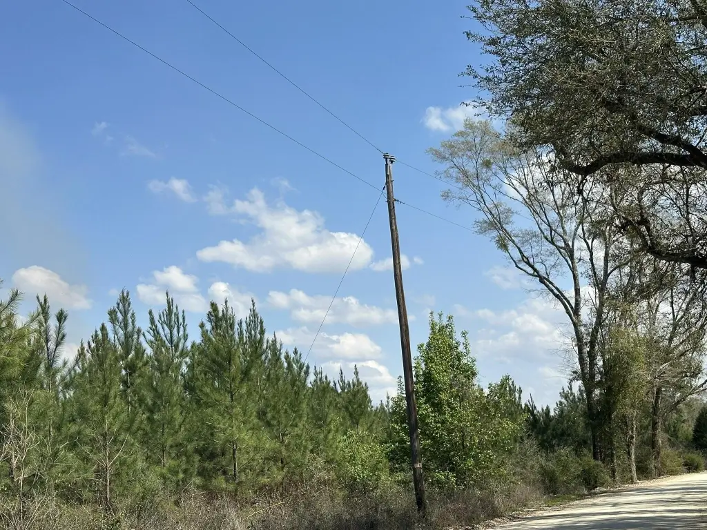 Picture 6