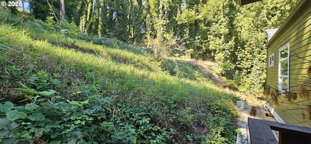 Picture 25